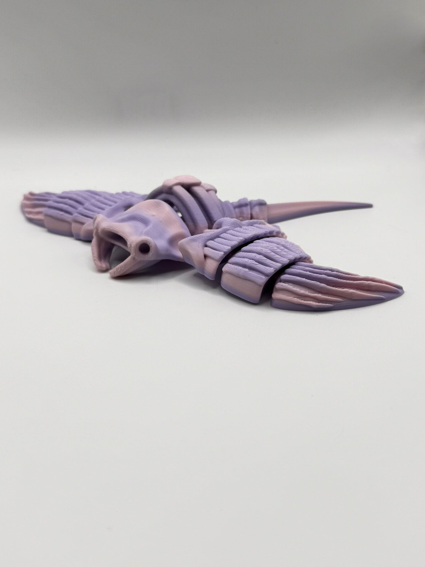 Skeleton Sea Creatures