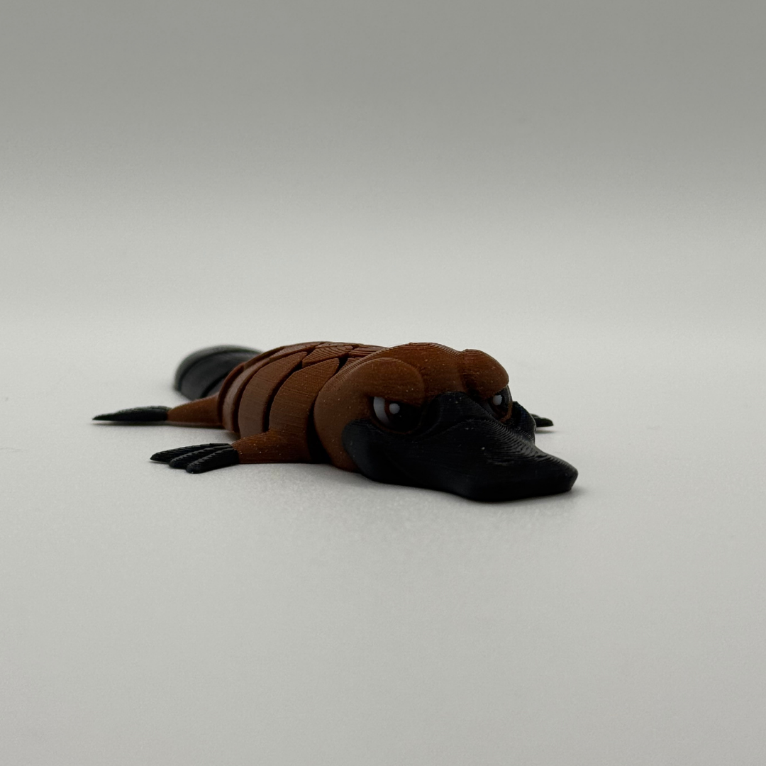 Flexi Platypus