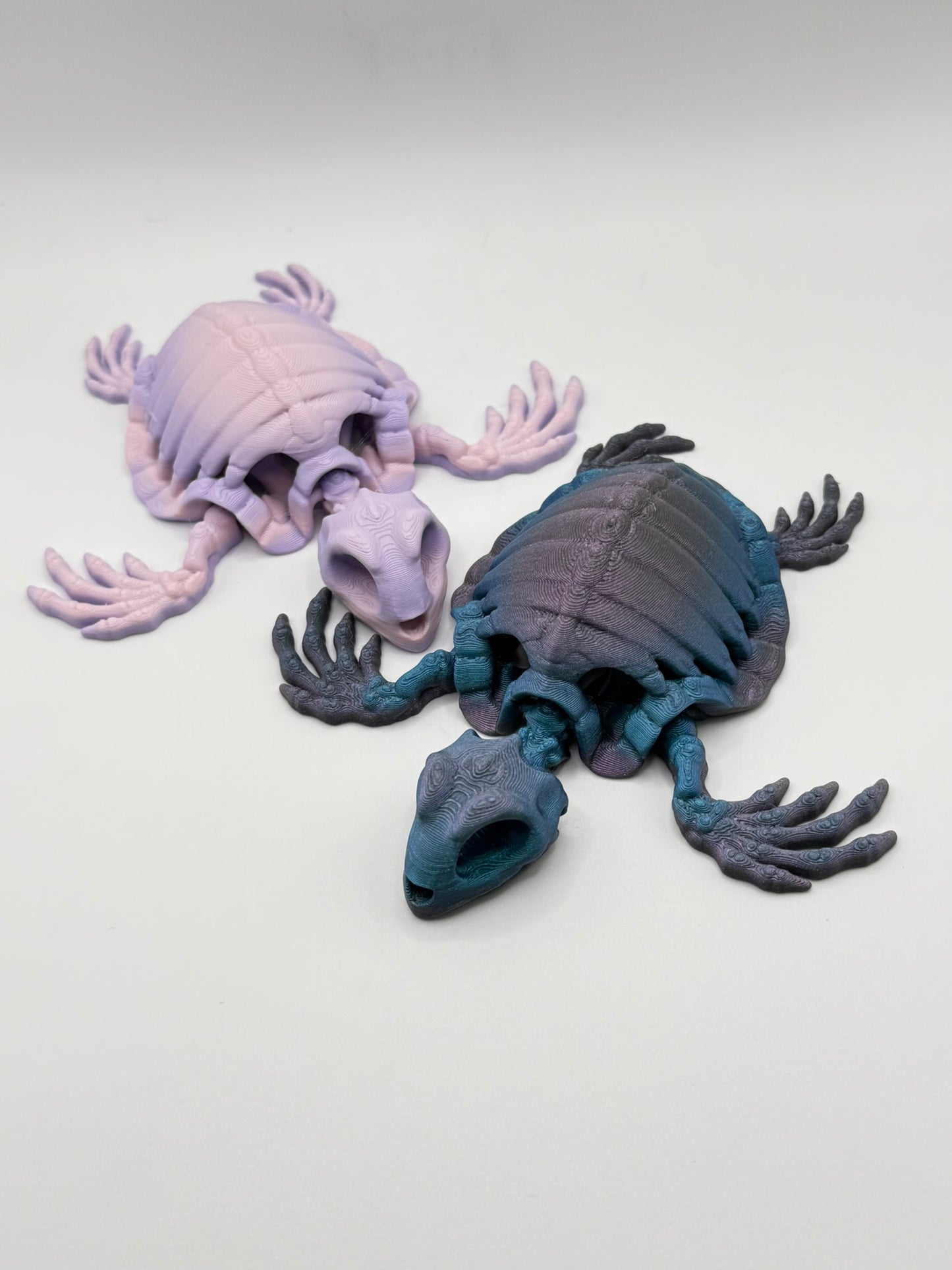 Skeleton Sea Creatures