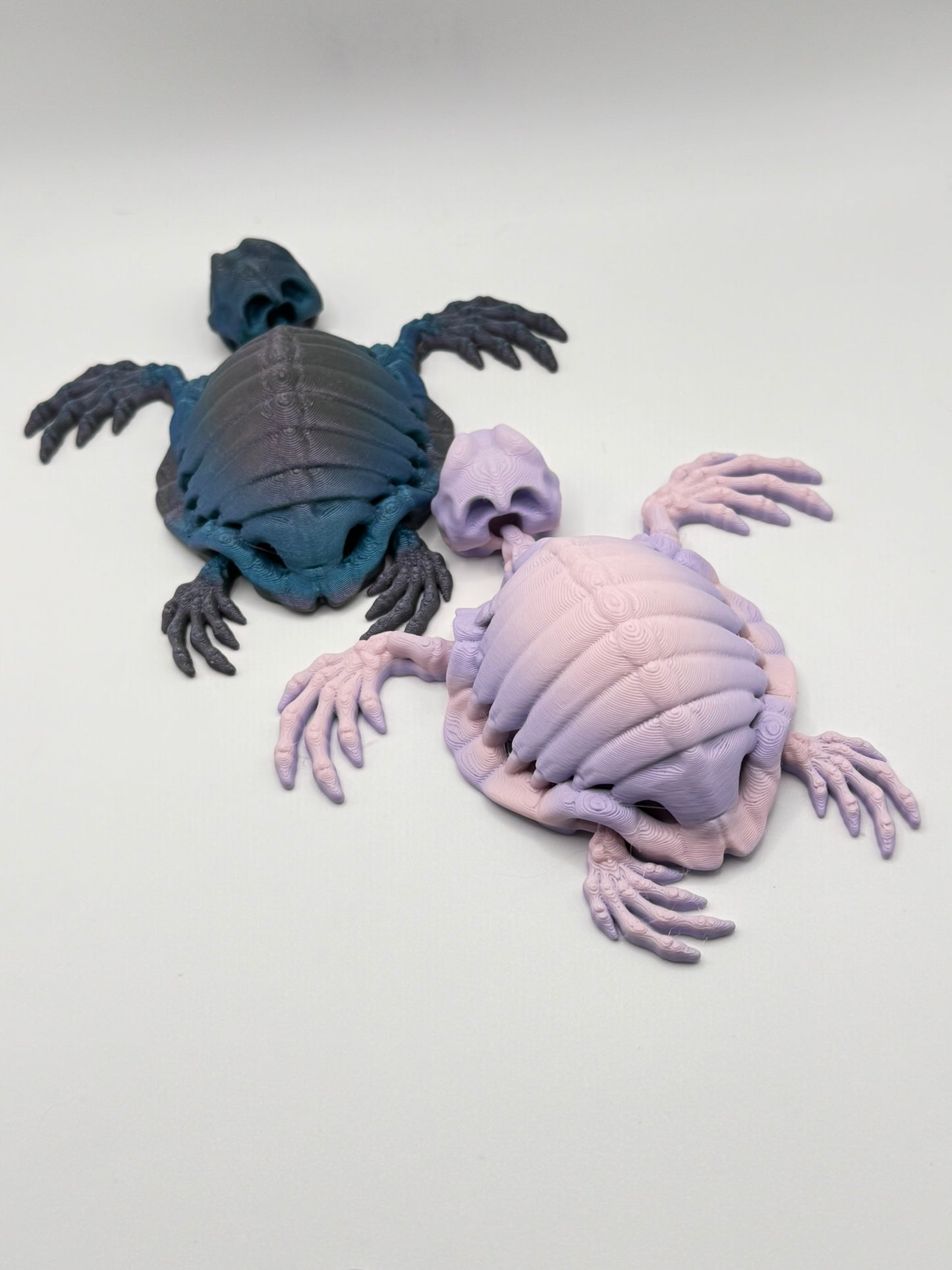 Skeleton Sea Creatures