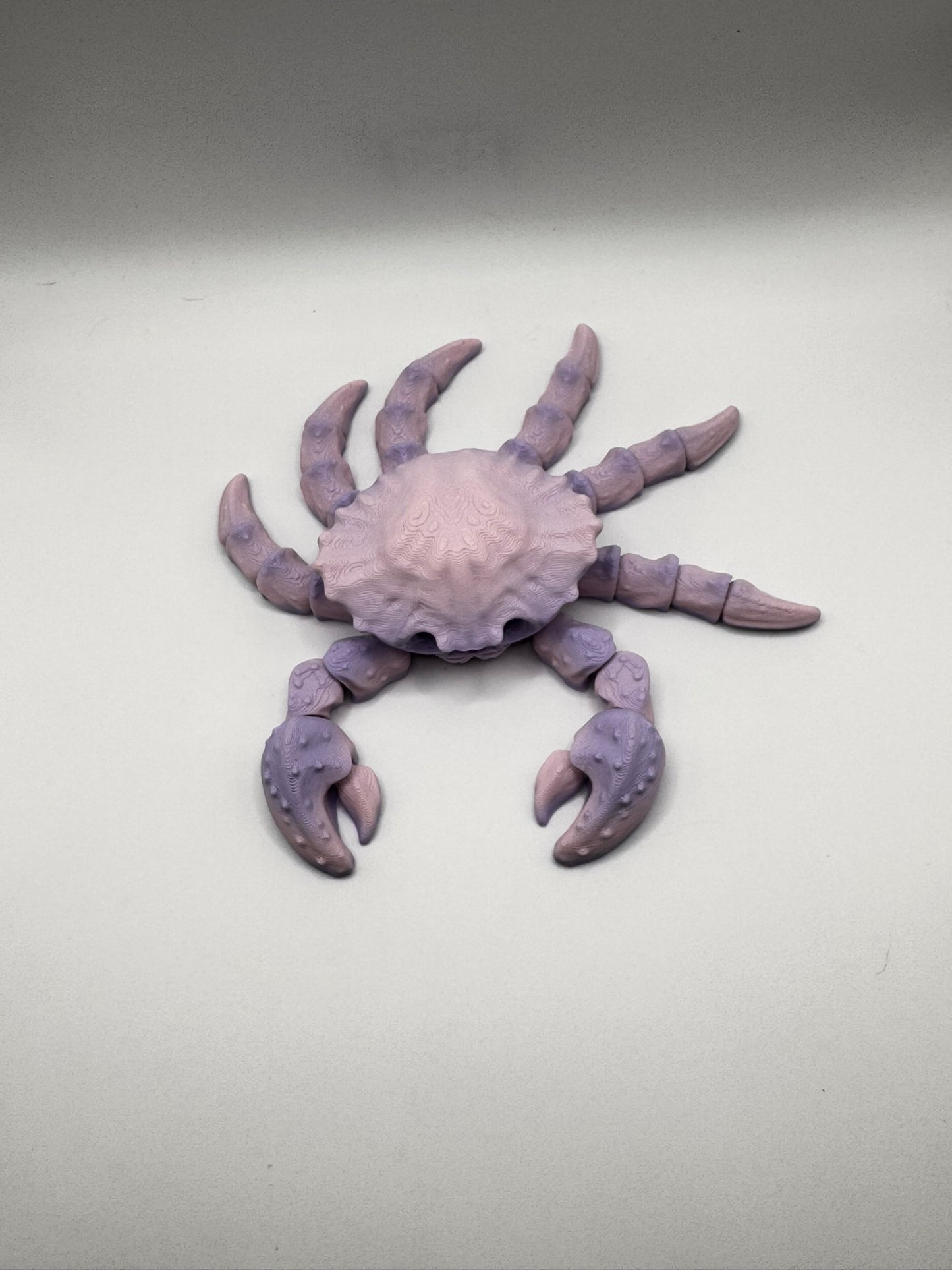 Skeleton Sea Creatures