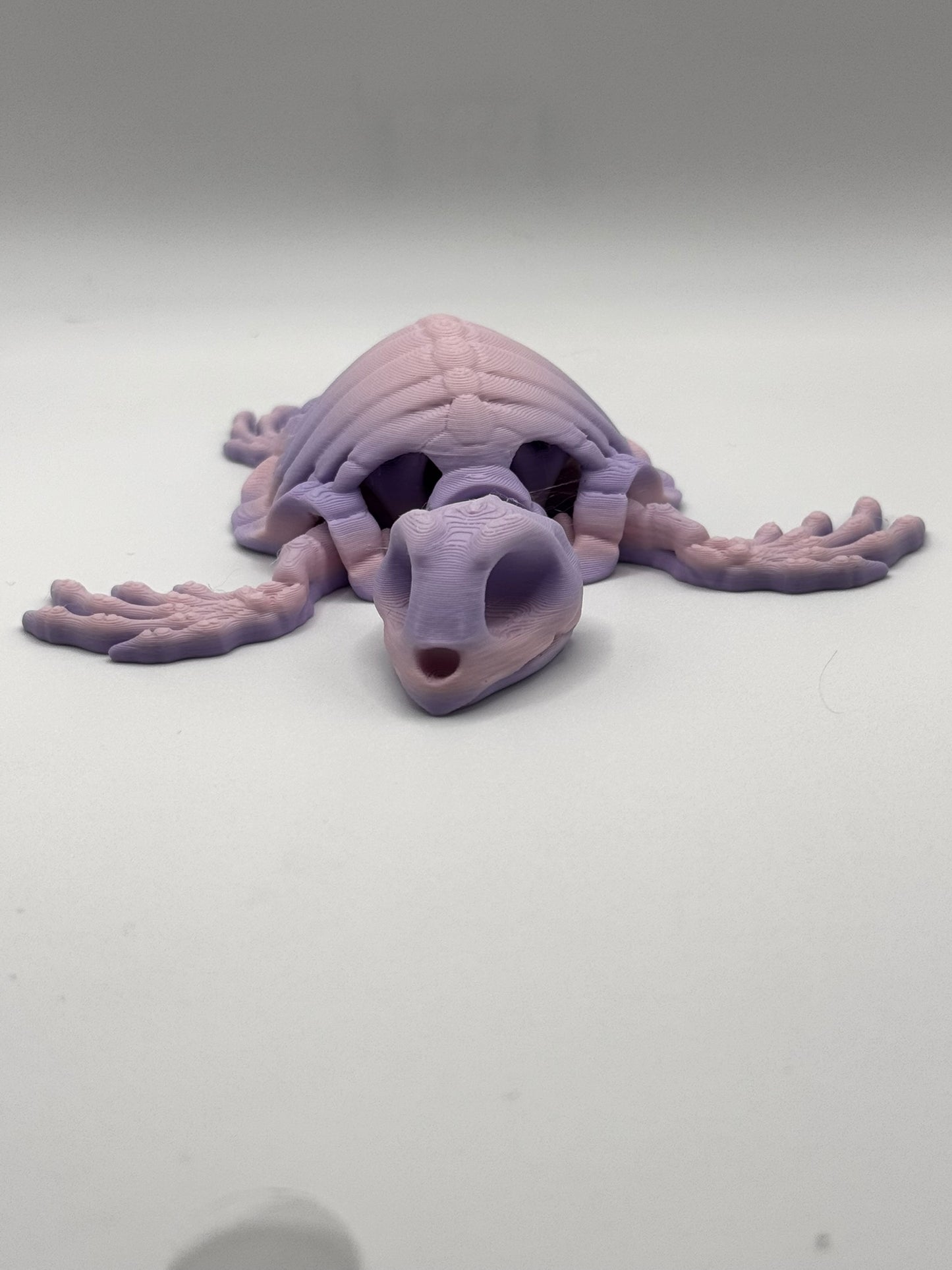 Skeleton Sea Creatures