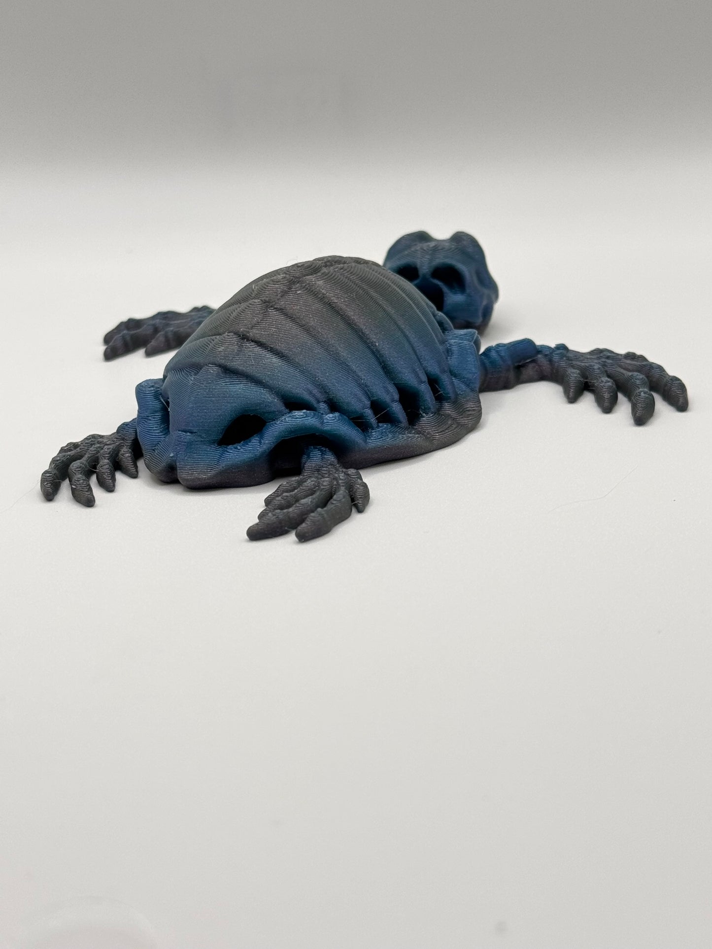 Skeleton Sea Creatures