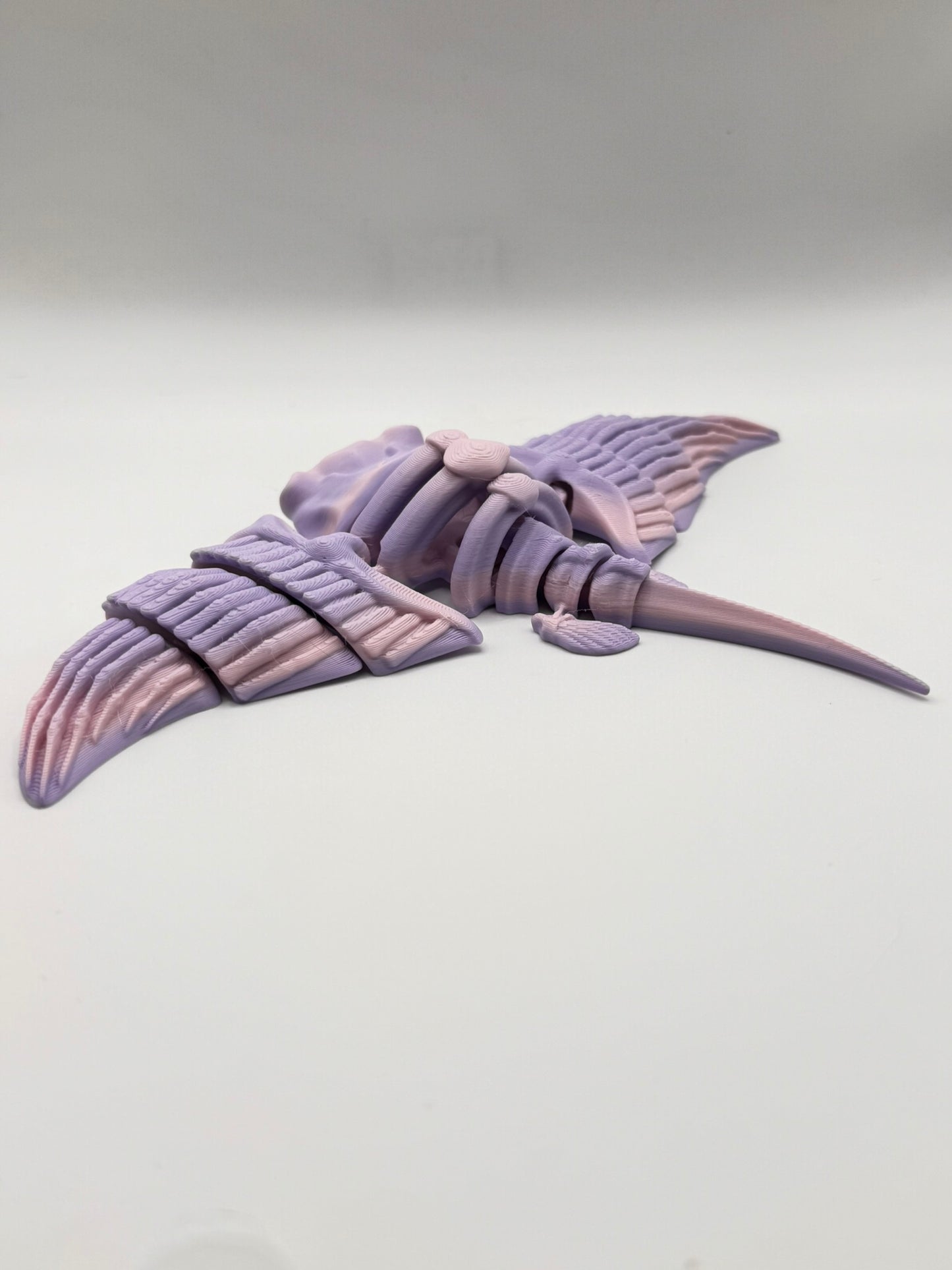 Skeleton Sea Creatures